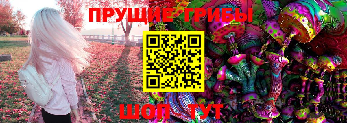 Галлюциногенные грибы Psilocybine cubensis Ефремов