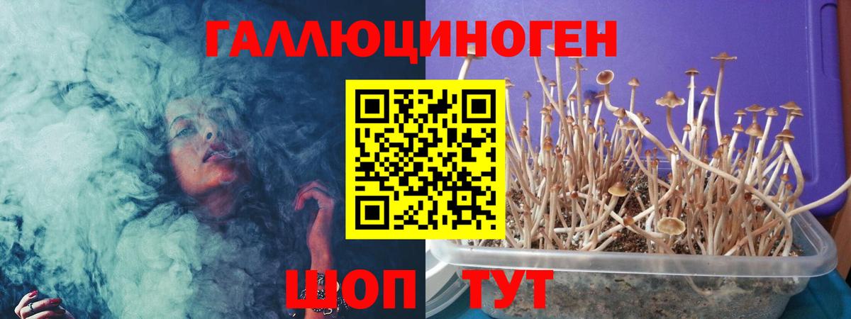 где купить наркоту  Галлюциногенные грибы прущие грибы  Галлюциногенные грибы прущие грибы  Вход с VPN  Ефремов 