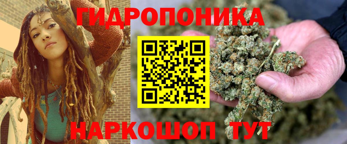 Бошки Шишки VHQ Ефремов